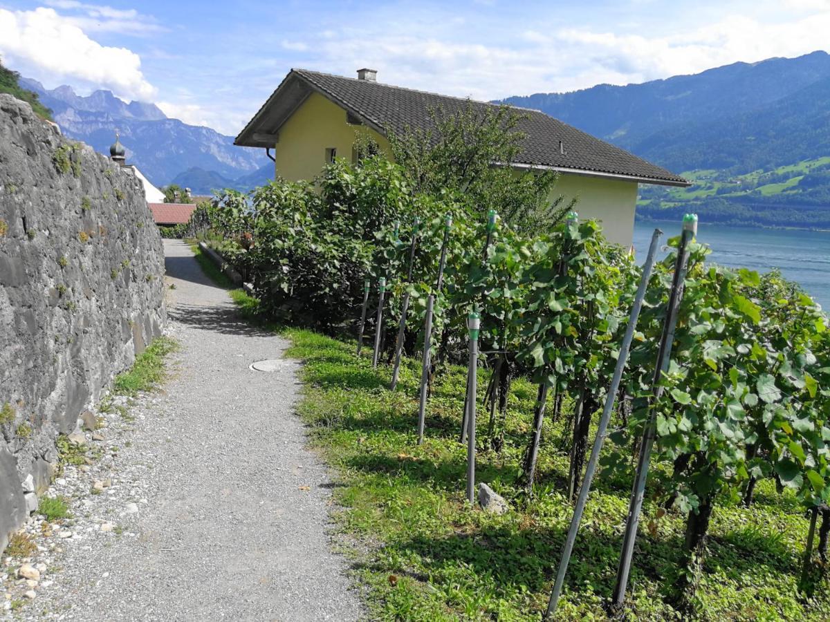 Haus Buenten Quinten Экстерьер фото