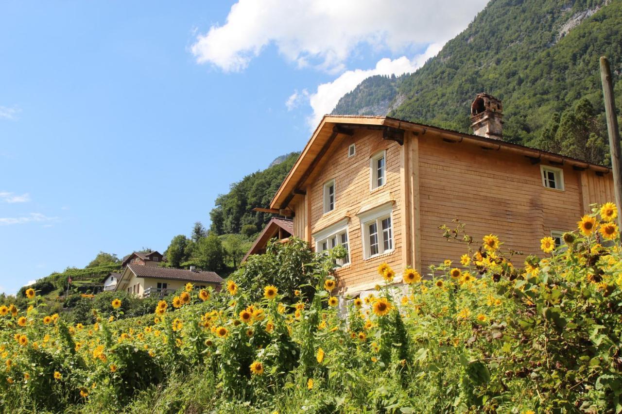 Haus Buenten Quinten Экстерьер фото