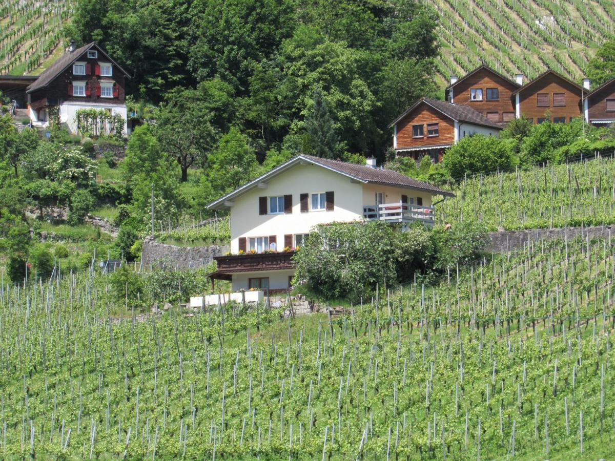 Haus Buenten Quinten Экстерьер фото
